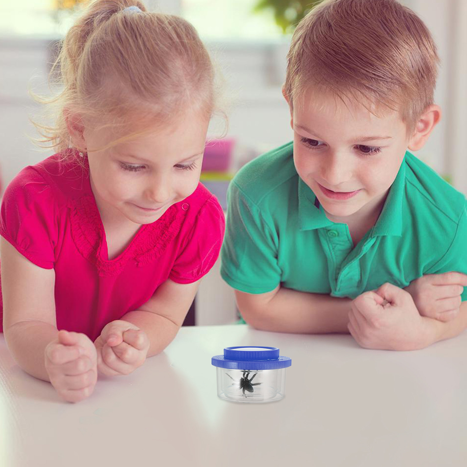 Three-Section Insect Observati - Science Toys ulasan dan harga