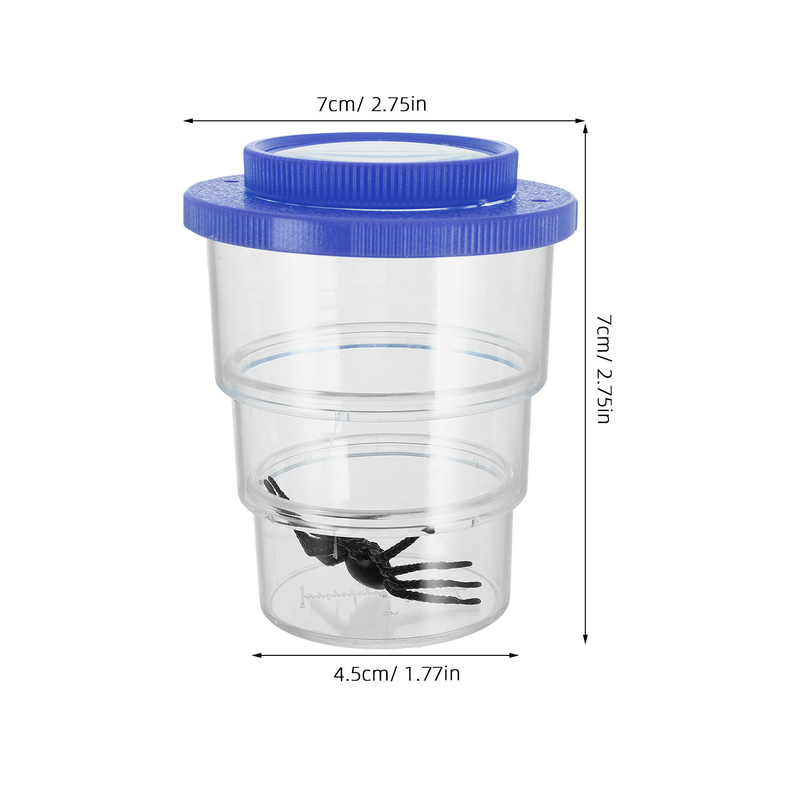 Three-Section Insect Observati - Science Toys ulasan dan harga