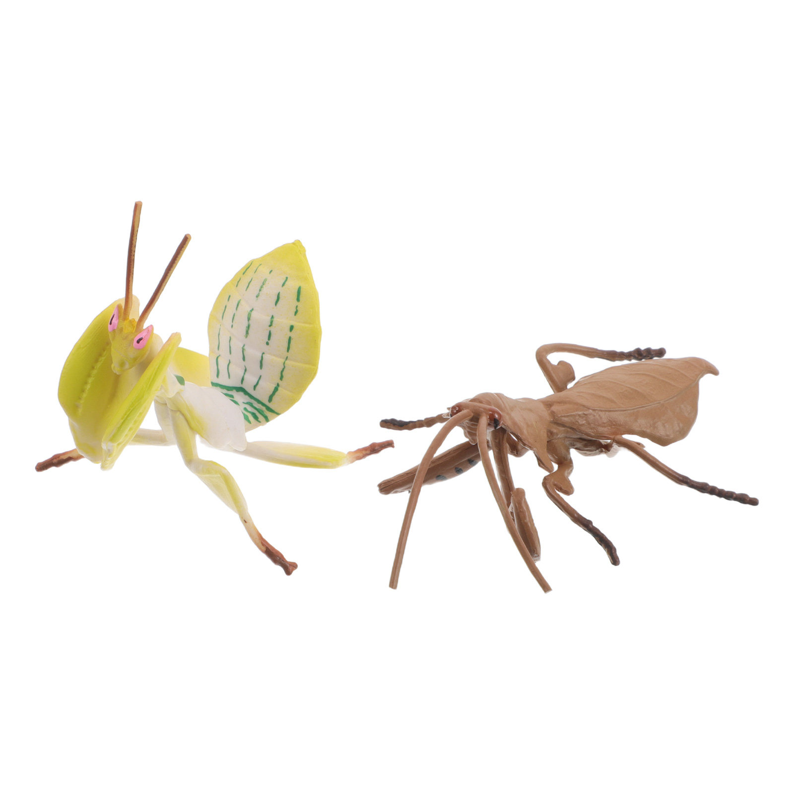 Realistic Praying Mantis Model - Science Toys ulasan dan harga