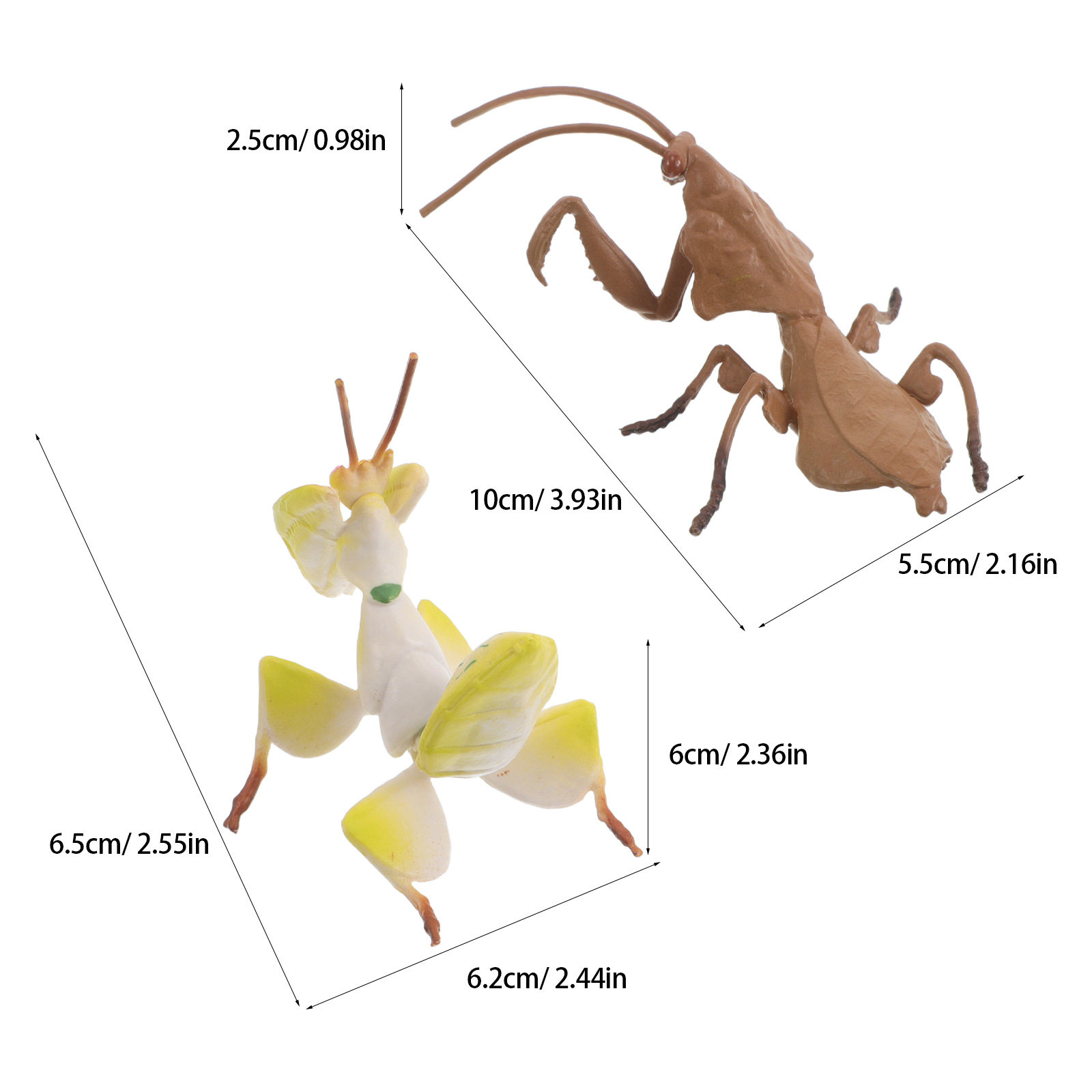 Realistic Praying Mantis Model - Science Toys ulasan dan harga